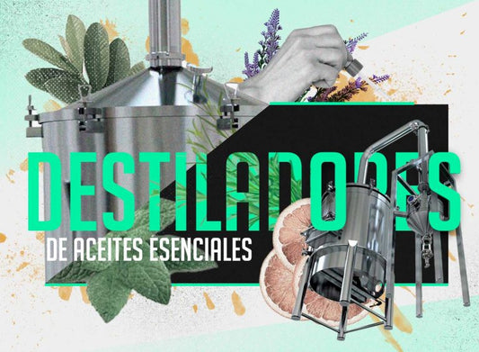 MODELO DE NEGOCIO: ACEITES ESENCIALES