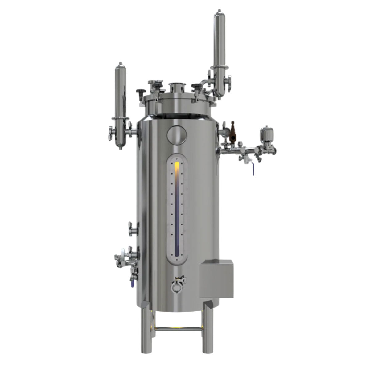Fermentador Aireado para Bioprocesos de 100L Útiles SS316 (Sin Skid - Sin Panel de Control)