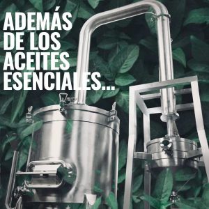 ADEMAS DE LOS ACEITES ESENCIALES...