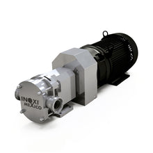Bomba de Doble Lóbulos de 1HP Trifásica (Motor Eléctrico) 26LPM
