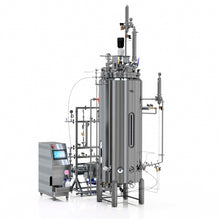 Biorreactor Estándar de 400 Litros (300 litros útiles) SS316